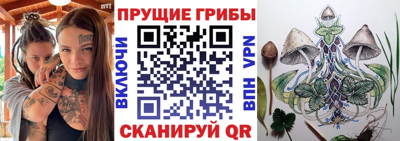 Псилоцибиновые грибы Cubensis Троицк